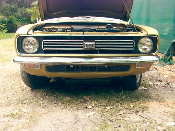 Front grill and engine bay